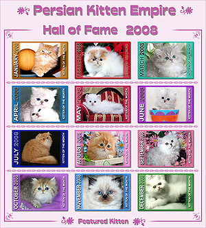 Hall of Fame 2008 - Click HERE