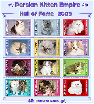 Hall of Fame 2009 - Click HERE