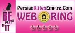 Persian Kitten Empire
