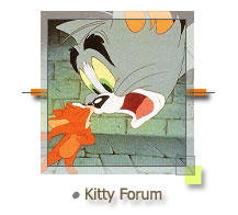Persian Kitten Forum