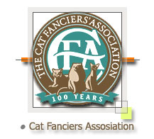 CFA Cat, Cats, Persian - Persian Kitten Empire.Com
