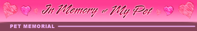 Pet Memorial