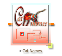 Cat Names from A to Z