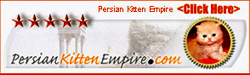 Click Here - Persian Kitten Empire