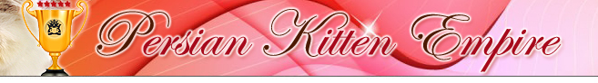 Persian Kittens for Sale, Persian Breeders, Persian Kitty, Himalayan Kittens