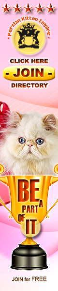 Persian Kittens for SALE - GLOBAL Breeder Directory